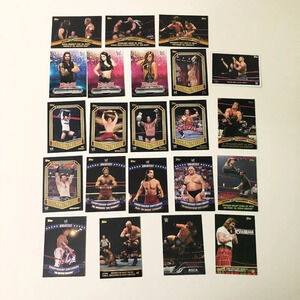 2014 WWE  Topps Lot of 22 Wrestling Cards Championship Contenders Wrestlemania